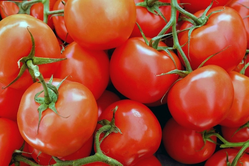 tomatoes recipe