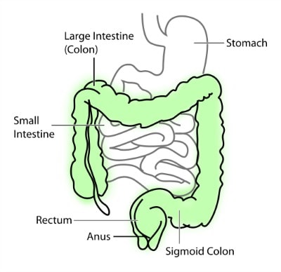 Coffee Enemas for Constipation | Psychotherapy, Hypnotherapy, Massage ...