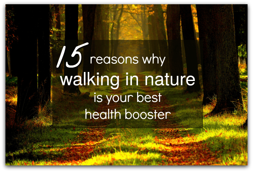 15 reasons why walking in nature is your best health booster