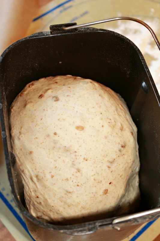 Homemade granary rolls dough