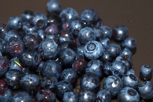 Berry Cheesecake Blueberries