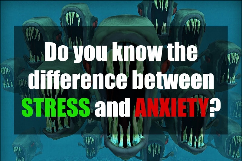 The difference between stress and anxiety