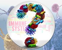 How to Easily Boost your Immune System Health