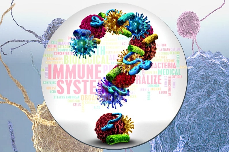How to Easily Boost your Immune System Health