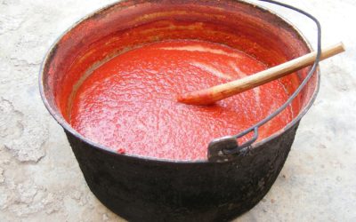 Homemade Tomato Marinara Sauce